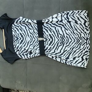 Express Zebra stripe dress